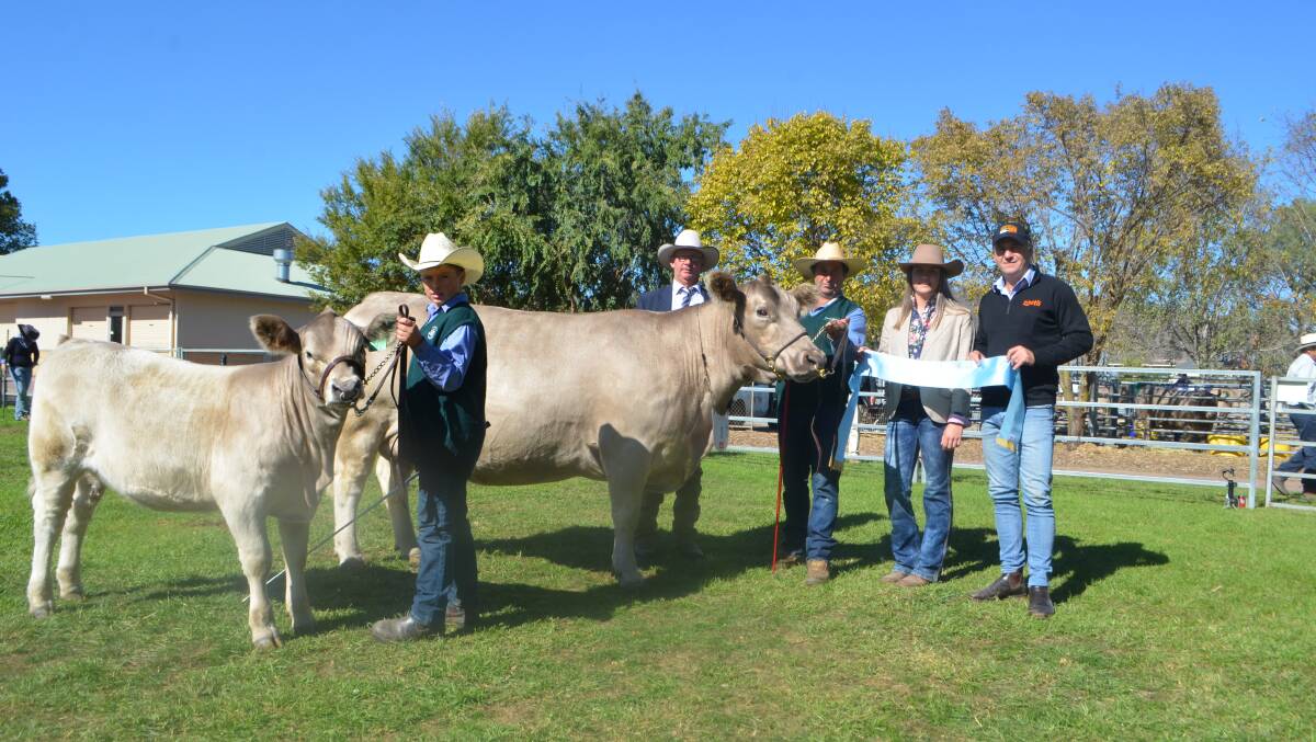 Supreme exhibit: Arki Kate with her heifer calf sashed as champion led female. Pictured left to right - Sam Buick, judge Andrew Green, Geoff Buick, Arki Murray Greys, Western Flat, SA, associate judge Caitlin Porter and sponsor Glenn Page, Zoetis, Wodonga.
