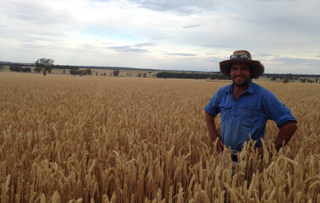 Standing proudly in his crop of wheat: Alex Davies, Box Ridge, Coonabarabran is the inaugural Future Farmers Network Rabobank Farm Mangers Program Scholarship. Photo: supplied