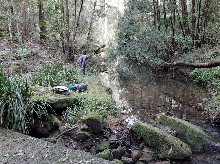 Citizen scientist and volunteer Gerald McCaffrey studying streams in the Sydney basin for evidence of Platypus paddles. Photo: Western Sydney University
