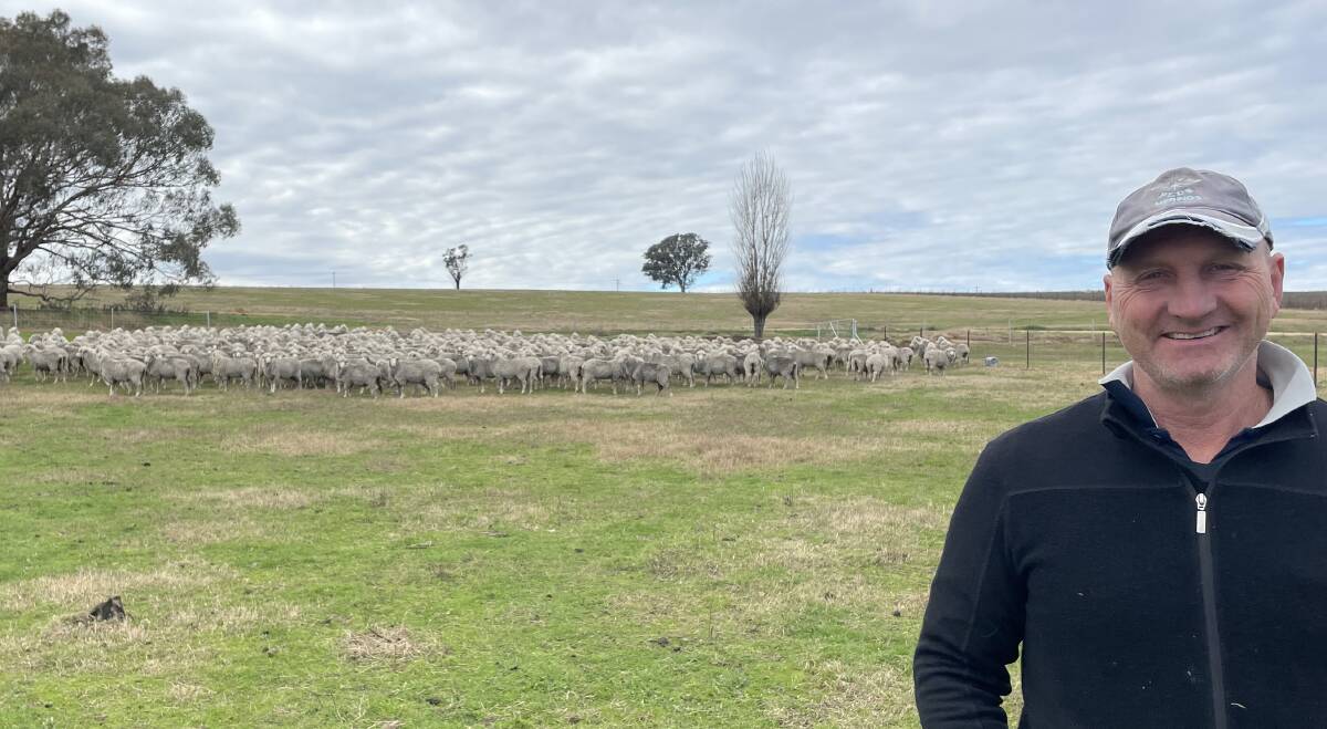 Mark Tiedemann is very happy with his non-mulesed maiden Merino ewes scanned for singles and November shorn.