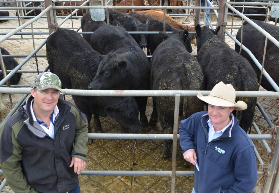Greg Manson, with his stock agent Alex Croker, HF Francis and Co, Wagga Wagga in front of the pen of four Limousin/Angus steers weighing 467.5kg and sold for $1722
