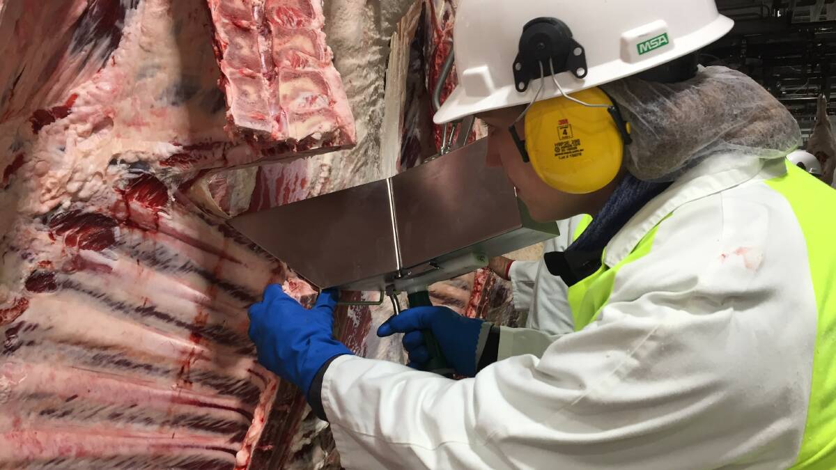 Camera technology in meat grading