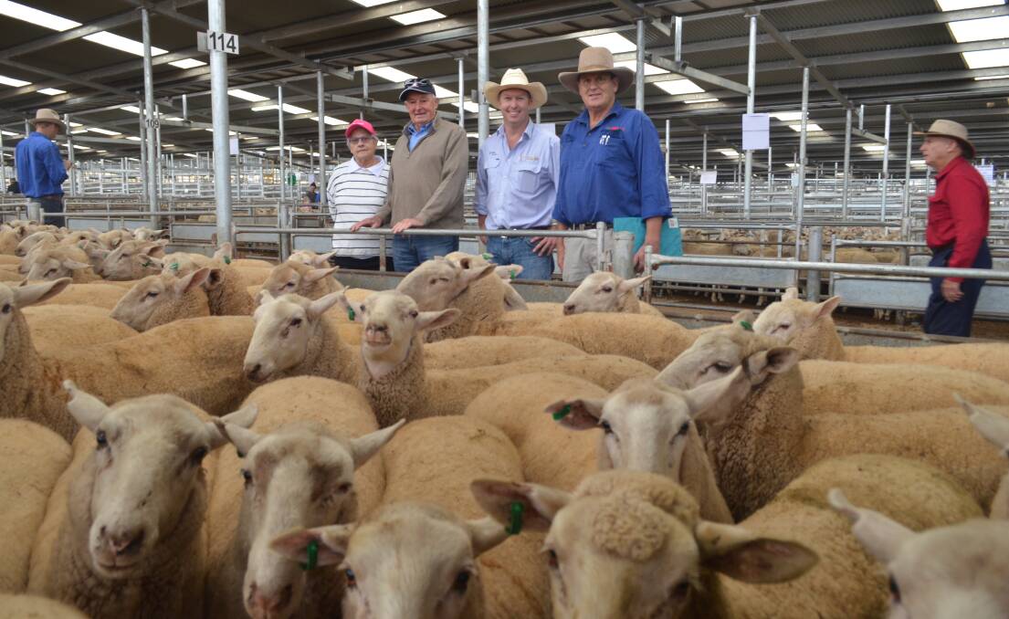 Best presented ewe lambs: Heather and Will Kember, Ganmain with sponsor Scott Hannaford and SELX manager Rick Maslin.