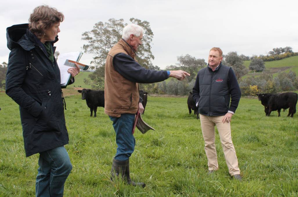 New pasture: NSW Department of Primary Industries development officer, Helen Burns, discusses benefits of perennial pasture establishment with beef producer, Brian Ward  and JBS livestock buyer, Neale Flanagan at a recent field day at Table Top, near Albury. Photo: supplied.
