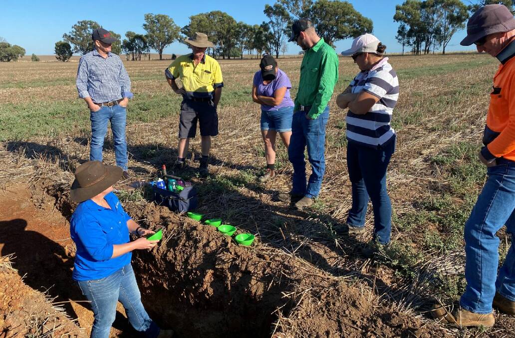 Dr Cassandra Schefe, explaining the potential for carbon farming in the southern Riverina and northern Victoria. Photo: supplied