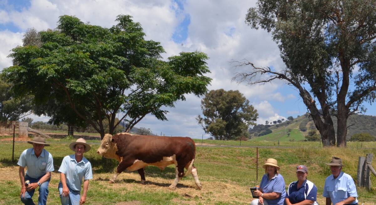 Ross and Blake Smith with Bernice, Von and Neil Mitchell, Walwa, Victoria purchasers of the top priced bull at $18,500.