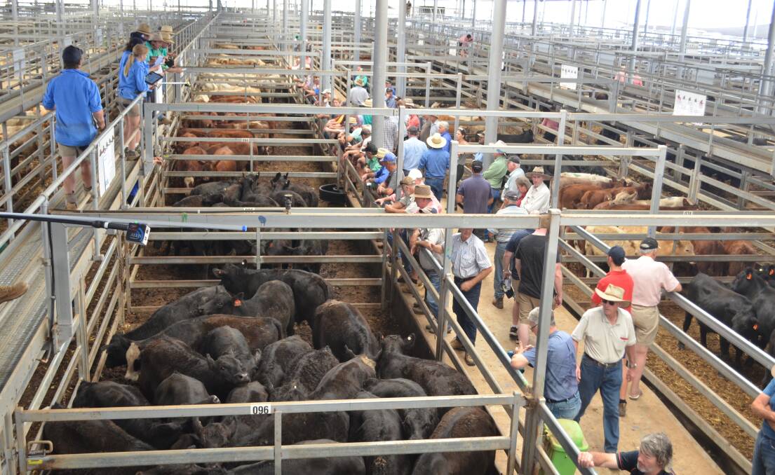 Past store sale at Wodonga when more cattle were available.
