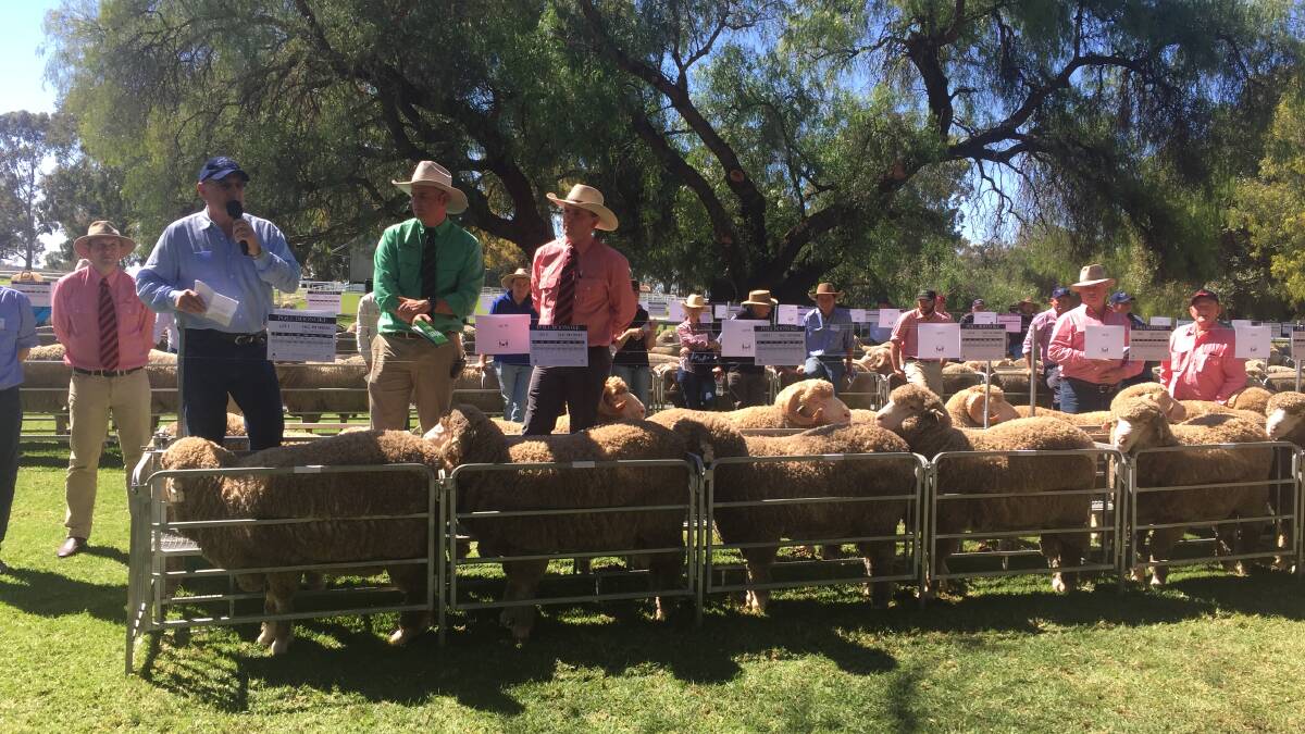 The 2020 ram auction at Boonoke, Conargo. The 2021 sale of Poll Boonoke and Wanganella rams at the time of publication will still proceed albeit with the normal social restrictions in place.