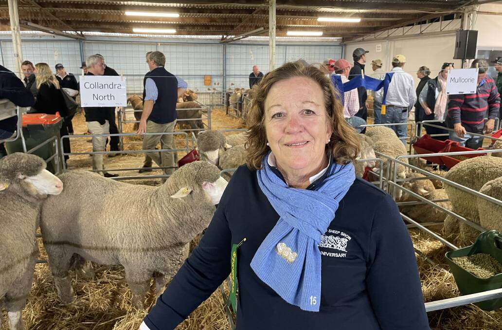 Program works: Stacey Lugsdin at the Hay Sheep Show.