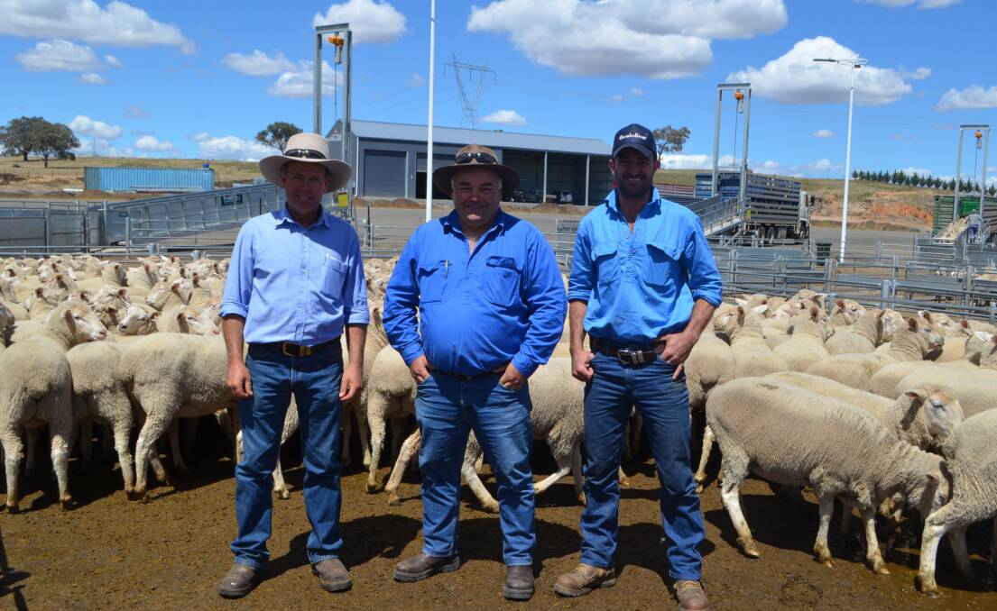 Repeat buyers Jason Pond and David Pascoe, Forest Reefs, who paid $314 for 400 ewes offered by Alan McCormack, Walwa, Breadalbane.