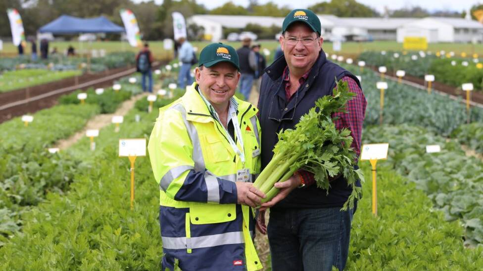 Mike Hindle, CEO of Withcott Seedlings joined the business in 2012 and share ownership of it with the Erhart family. Photo: supplied