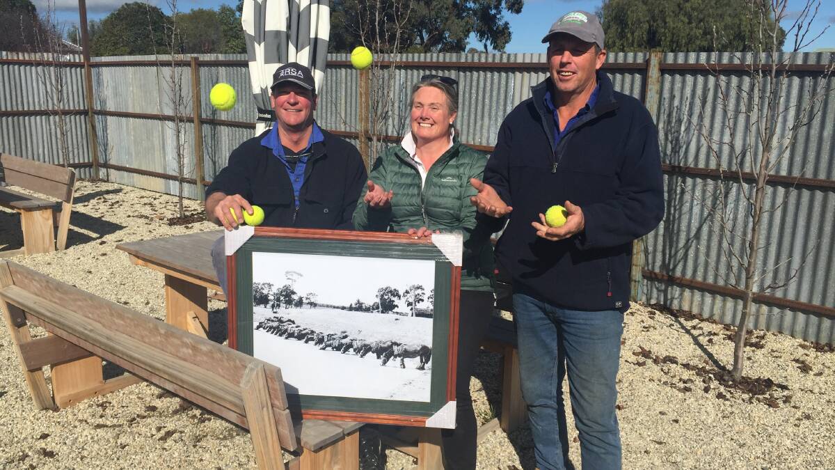 Holbrook and District Fundraisers Jimmy Capell, Sarah King and Russell Parker juggling tennis balls in preparation for the fun day at the Holbrook Sports Ground. They are with the photo donated by The Land to be auctioned.
