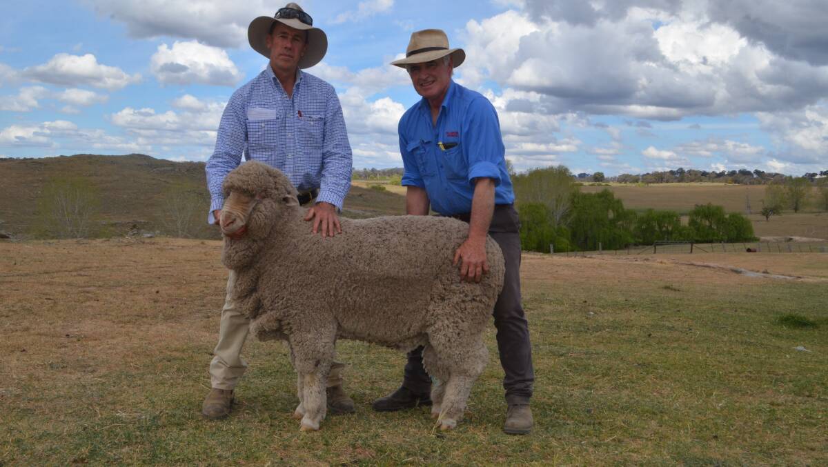 Yeumburra manager Shaun Young of Yass buying for W.D Blackshaw and one of the top priced rams with Tallawong Merinos stud principal Frank Kaveney.