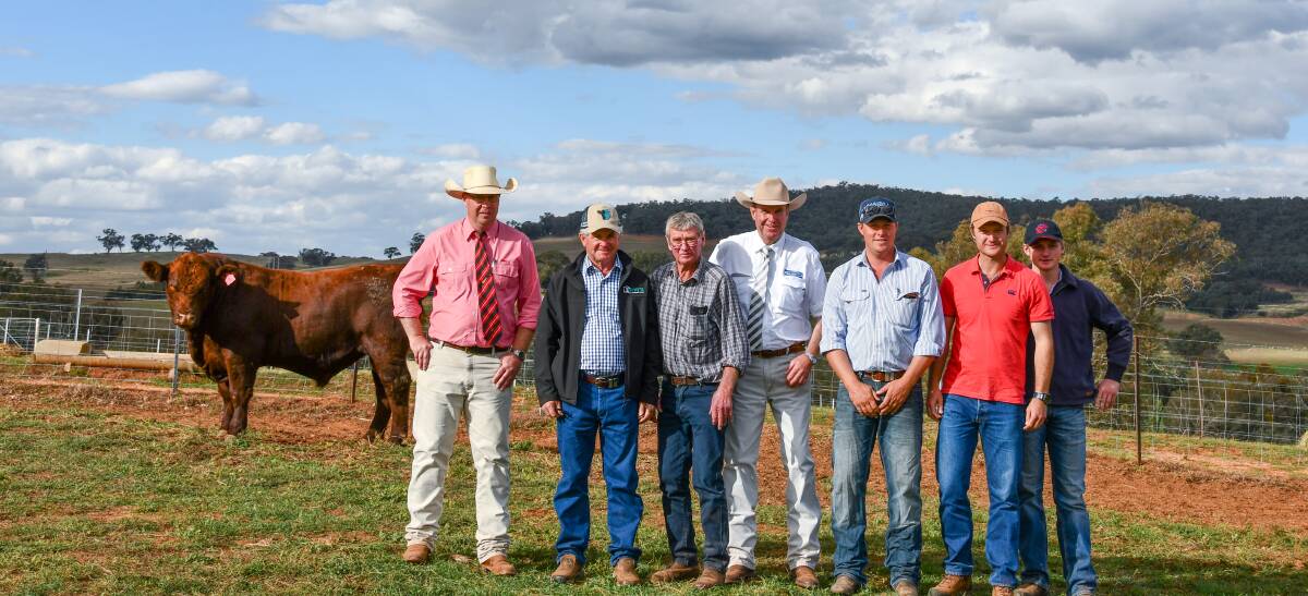 Ross Milne, Gerald Spry, Ray Brook, Paul Dooley, Greg Schuller, Dion Brook and James Dawson with equal top-priced Shorthorn bull Outback Sprys Buddy Q283.
