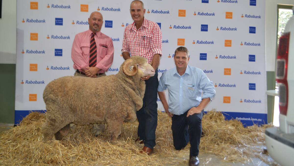 Craig Pearsall, Elders wool manager, Goulburn with the $4500 ram sold by Gary Kopp, Towonga Merinos, Peak Hill and Gerard Bennett from co-sponsors achmea australia.