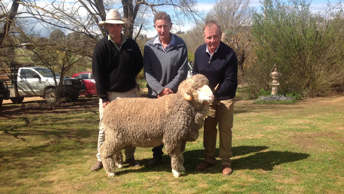 Damian Roach, Landmark Cooma, Michael Green, Boudjah, Cooma with his $12,500 purchase paraded by Guy Evans, Tara Park, Boorowa.