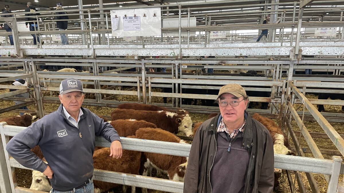 Michael Unthank, BUR Wodonga, with Don Cameron, Bowna, who sold 13 Wirruna-blood Hereford steers weighing 246kg for $1420.