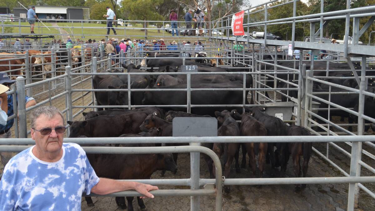 Michael Bunn, Braidwood, with the pen of 10 Angus cows with calves he bought for $4050 a unit at Bega store cattle sale on Thursday.