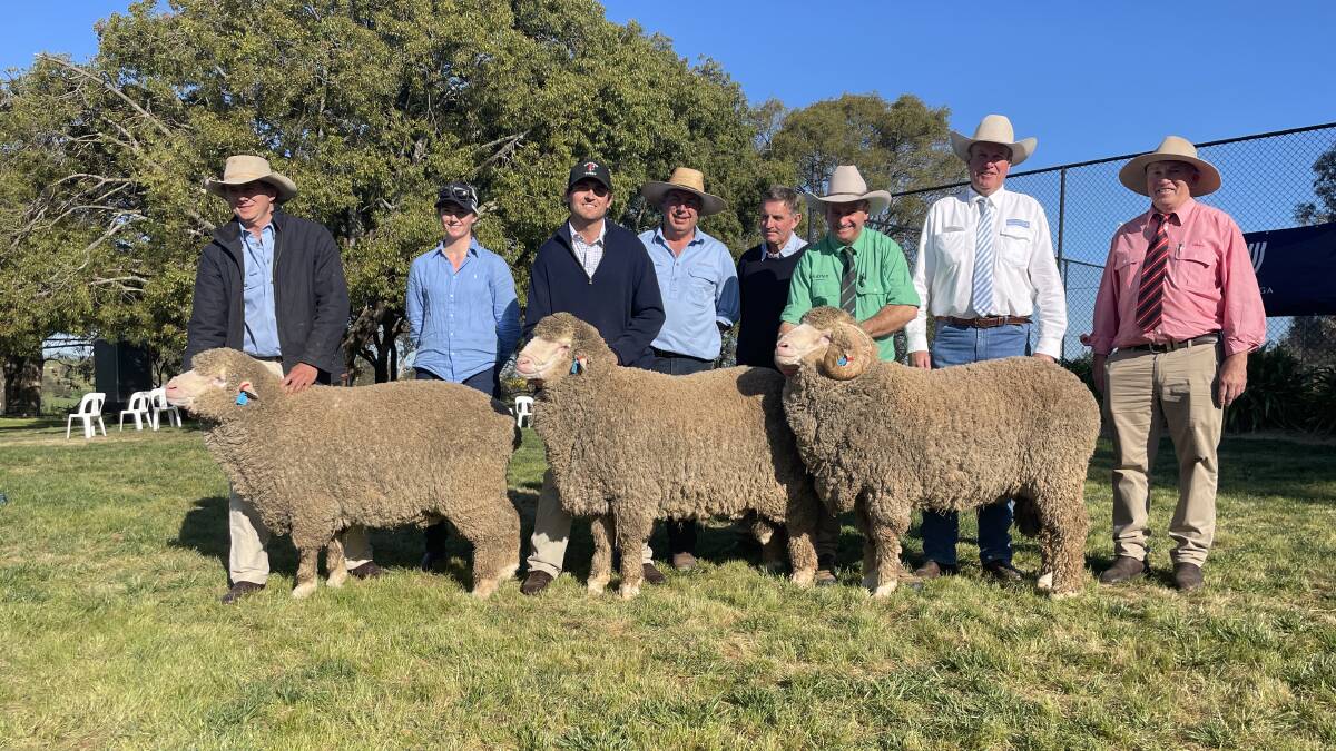 The top three rams pictured with Angus Campbell ($22,000), Ashley Meaburn, Sam Phillips ($18,000), Damian Meaburn, Wool Solutions, Steve Phillips, Rick Power ($26,000), Paul Dooley and Tim Schofield, Elders, Cooma. 