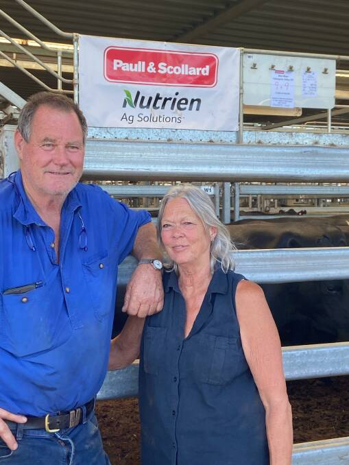 Max Blair and Jenny Hall, Tallangatta Valley, Victoria, sold 17 Angus cows with calves for $4400. Photo: Tim Robinson
