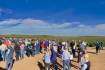 Hundreds attend Cotton Grower of the Year Field Day