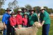 Poll Merino rams at Ballatherie sold to $5000