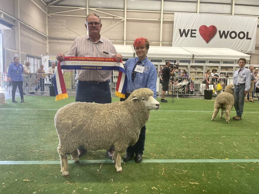 Chris Kemp, president NSW branch Australian Corriedale Association sashes the grand champion ewe bred by the Lithgow High School and paraded by Thomas Eccleston.