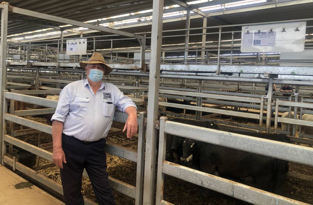 Dale Chids, BUR Wodonga, with the pen of five Angus heifers weighing 321kg sold by Bowditch Brothers, Kancoona, Victoria, for $1770. Photo: Tim Keys NVLX
