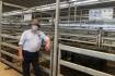 Yearling heifers sell to $2280 at Wodonga