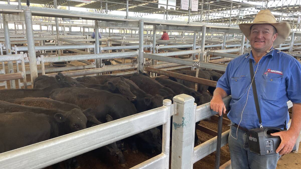 Jock Duncombe, Duncombe and Company, Crookwell, with the pen of 10 Angus steers weighing 321kg that sold for $900 at head at Yass on Friday.