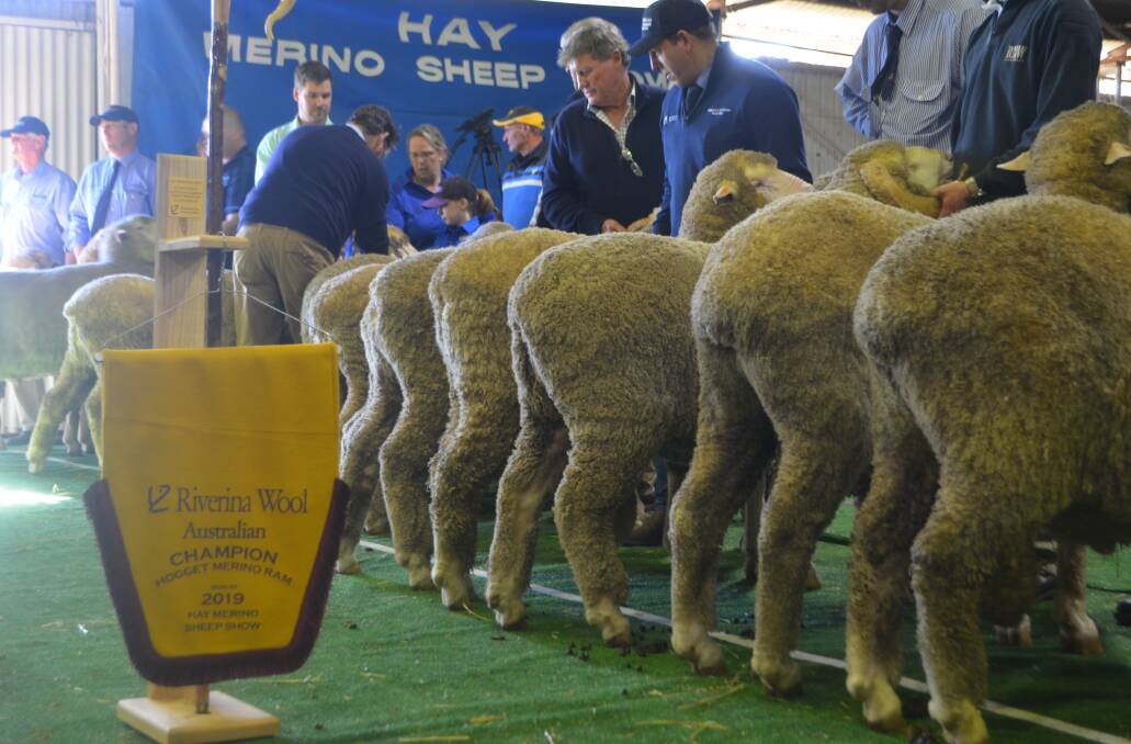 Competiton was strong for the Riverina Wool hogget ram of the 2019 show