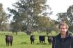 Tumut weaner steers to $1550