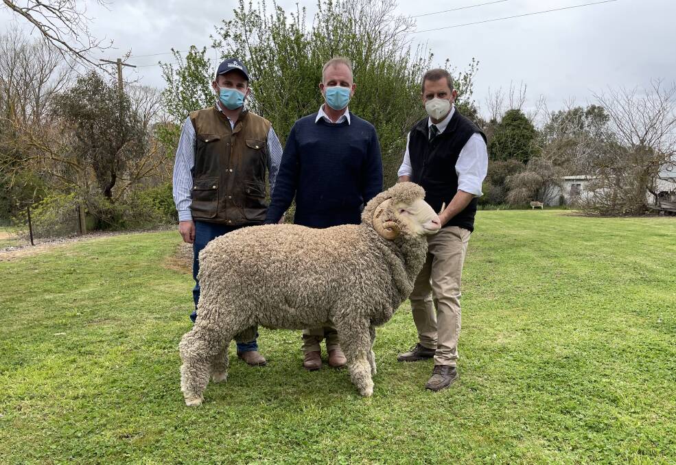 Ned and Guy Evans, Tara Park, Boorowa, with the top priced ram bought by Michael Hedger, Snowy Plain Merino stud, Berridale, paraded by Rick Power, Nutrien stud stock. 