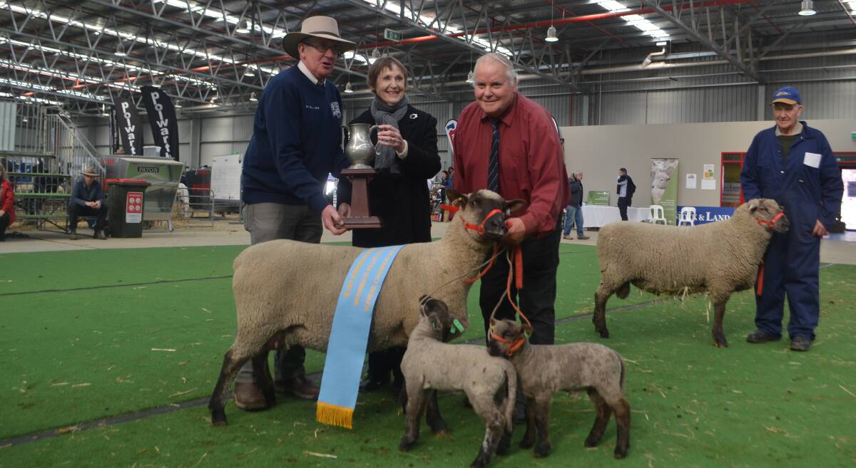 Ainslie Christie (centre) presenting the Colin Christie Memorial Trophy for supreme South Suffolk exhibit to Barry Shalders, Willow Drive, Grassmere, for his ewe with twins watched by judge Robert Grieve, Hillend Dorset Horn stud, Clarkes Hill. Colin Taylor is holding Mr Shalders' champion ram in the background.