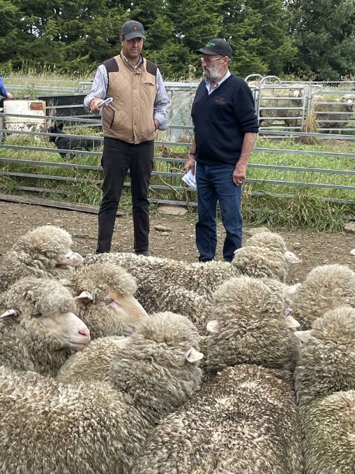 During the Taralga maiden ewe competition, judges Michael Peden and Brian Sears compare their thoughts on the flock displayed.