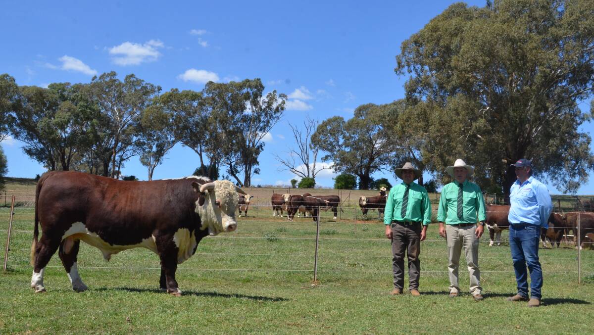 Equal top priced bull Glenholme Quartermaster with Tim Woodham, Nutrien Ag Solutions who made the purchase on behalf of Graeme and Jean Hall, auctioneer Peter Godbolt, Nutrien and studmaster Geoff Bush. 