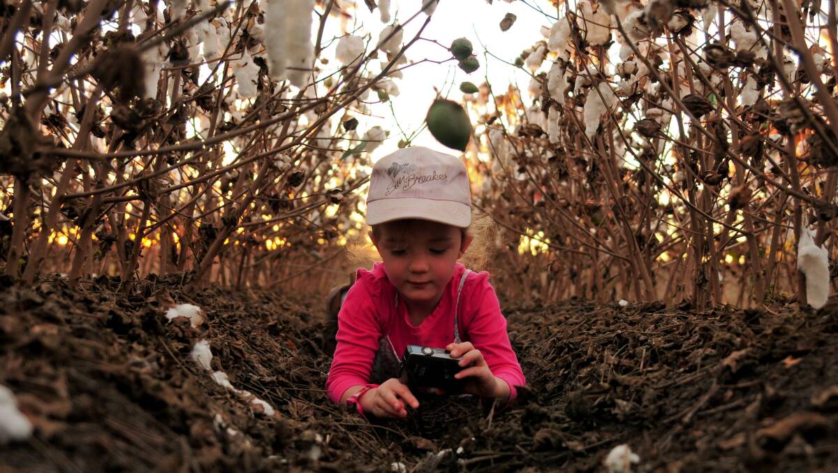 'Budding Photographer': taken by Marsella Morris, photograph competition winner in 2012. Photo: supplied by Cotton Australia.
