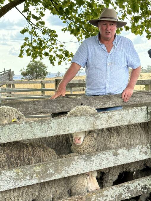 Chris Croker, Aryton, Golspie, with his Thalabah-blood ewes.