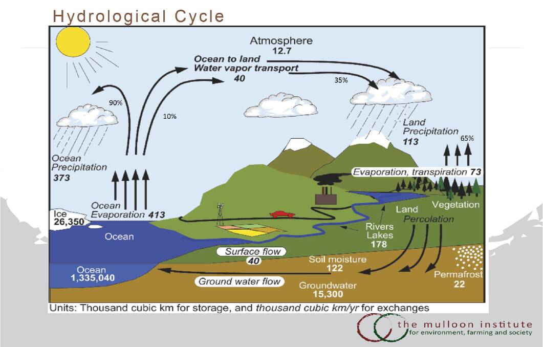 Graphic of hydrological cycle. Photo: The Mulloon Institute