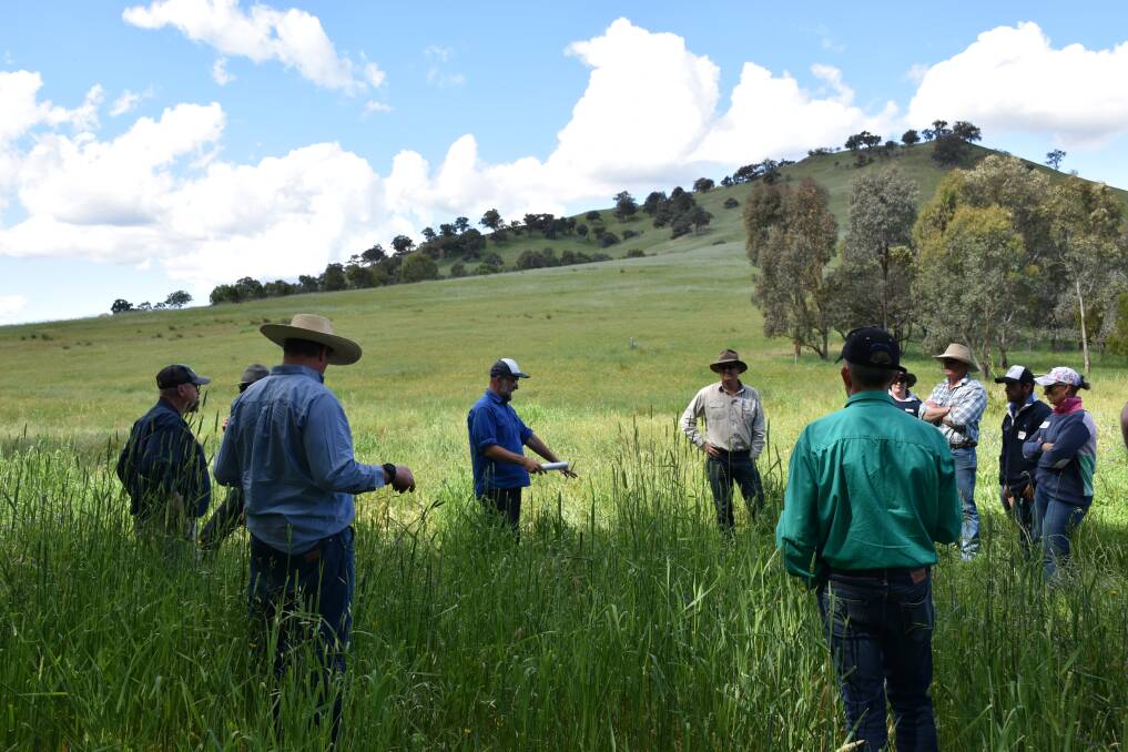 David Hardwick (centre) is an agroecologist and has over 20 years experience in rural landscapes, farming and food systems. He develops and delivers many of the extension projects for Soil Land Food across Australia. Photo: Penny Cooper
