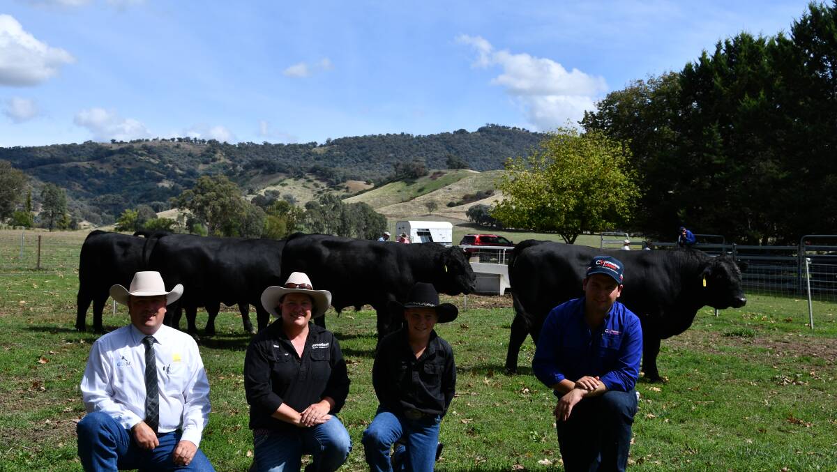 With a draft of the Black Simmental sale bulls - Ray White GTSM auctioneer Ryan Morris, Tara and Henry Brewer, BrewerBeef Black Simmentals, Tallangatta and Jed Cardwell, Corcoran Parker, Wodonga.
