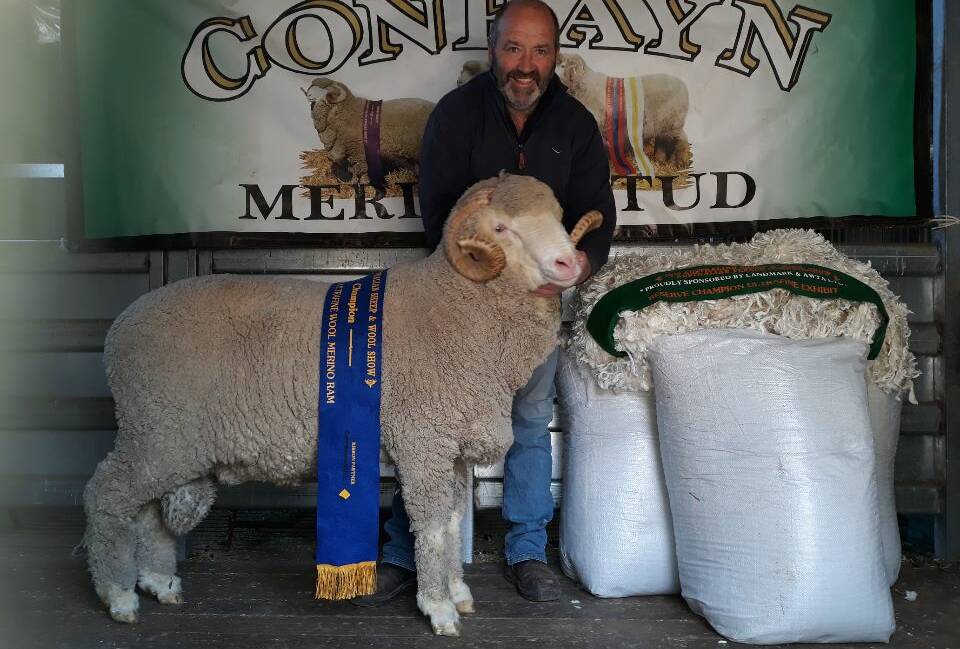 Monaro blood: Pete Lette, Conrayn, Berridale with his champion March-shorn ultrafine wool ram. Photo: supplied
