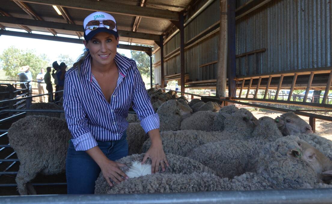Rachel Pritchard is studying woolclassing and has attened shearing schools to further her knwledge of the Merino industry.