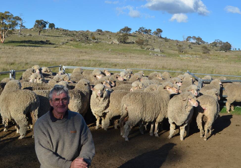 Neil Lynch, "McCarthy's", Berridale, with his Main Range-blood ewe which won the John Coy Peoples Choice prize.