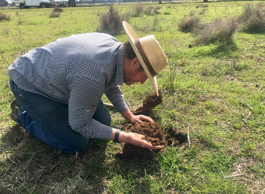 Michael Gooden looking at the soil on his family farm, Willowlee, Sandigo, where he has been time control grazing for eight years. Photo: Michael Gooden
