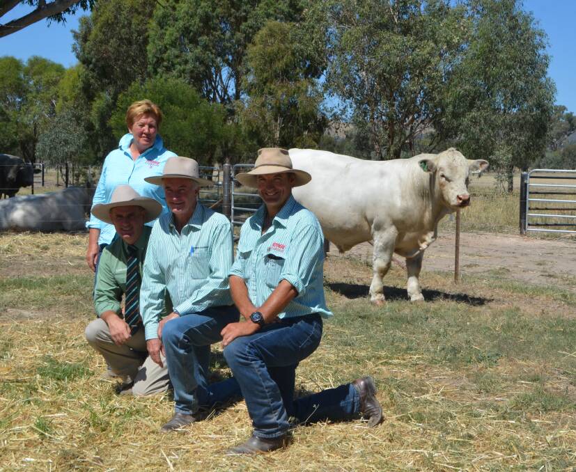 With the top priced bull are Ann-Marie Collins, Peter Godbolt, Landmark stud stock, Matt Collins and Dan Hallam, Kenmere Charolais, Holbrook. Kenmere Matlock was purchased by the Palgrove Charolais stud, Warwick, Qld.