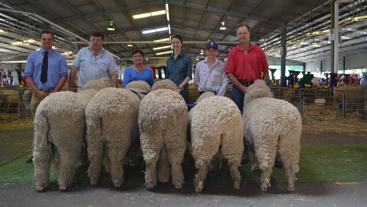 Associate judge Sam Westenra, South Island, NZ with the Merryville-bred team which was awarded the Koonwarra Trophy sponsored by John Williams, "Thalaba", Crookwell,  for open group of five Merinos.