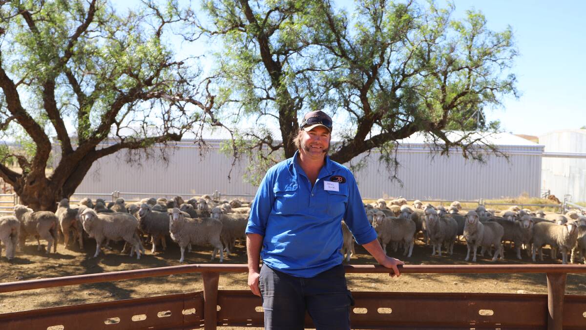 Winner of the inaugural Cootamundra Flock Ewe Competition - James Burge, Burge Ag, Windella, Cootamundra, with his Willandra-blood maiden ewes. Photo: Kelli Brown, Moses and Son, Grenfell.
