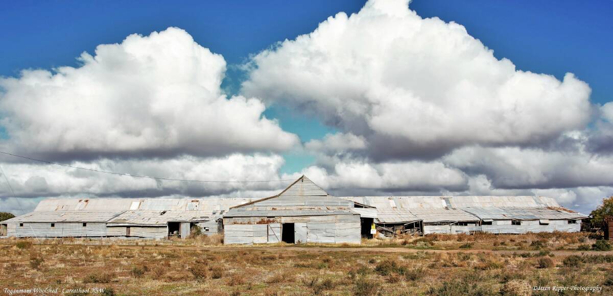 Shearing history: Between the Sturt Highway and the Murrumbidgee River, the Toganmain woolshed sits forlorn and waits for restoration. Photo: Darren Ripper