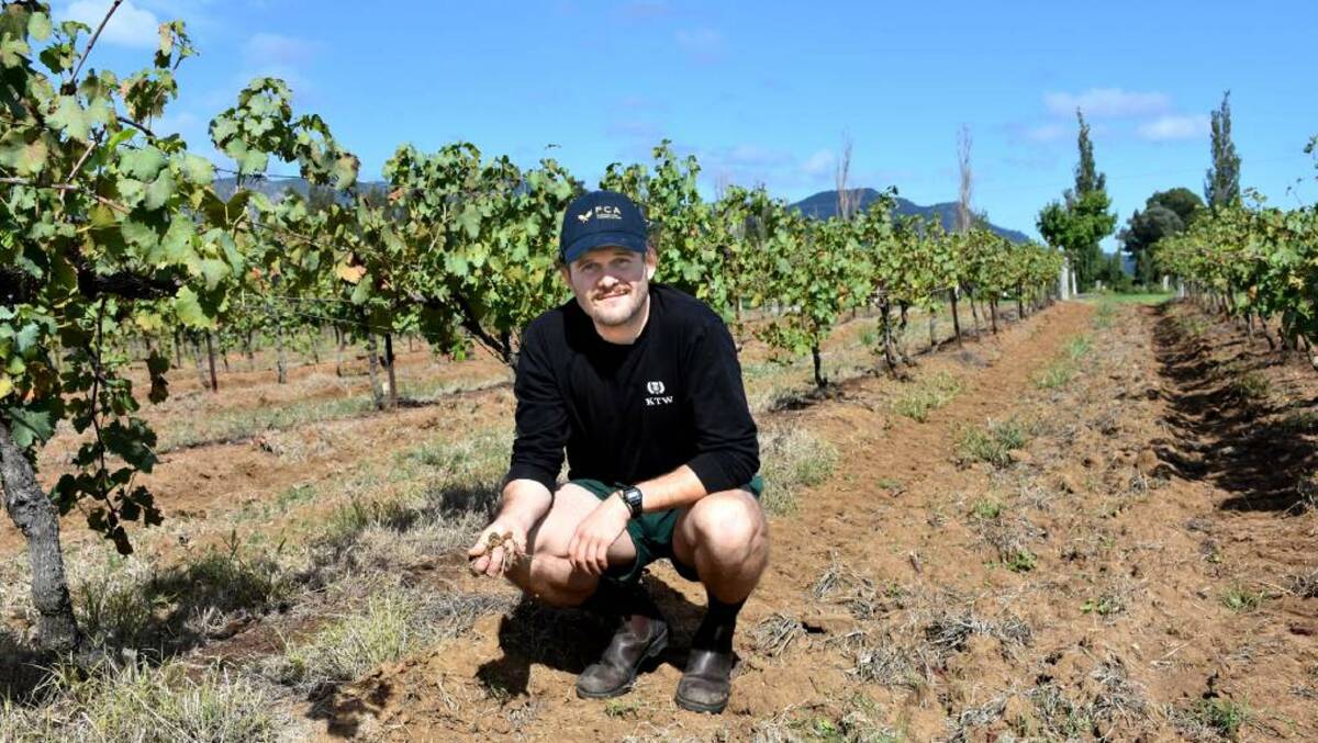 Alisdair Tulloch, Keith Tulloch Winery, Pokolbin is focused on the benefits of an energy efficient and carbon neutral winery. Photo: Louise Nichols, The Singleton Argus 